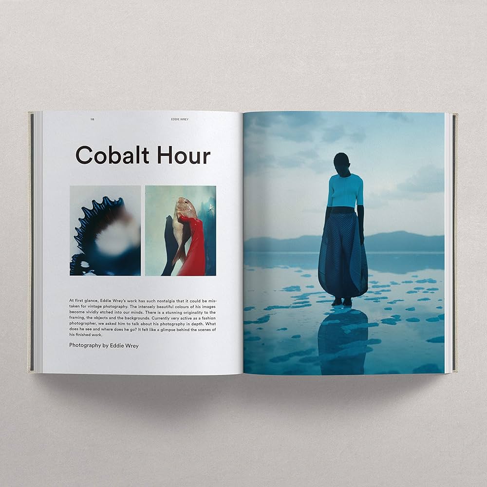 Amazon.co.jp: Union #16 : 洋書