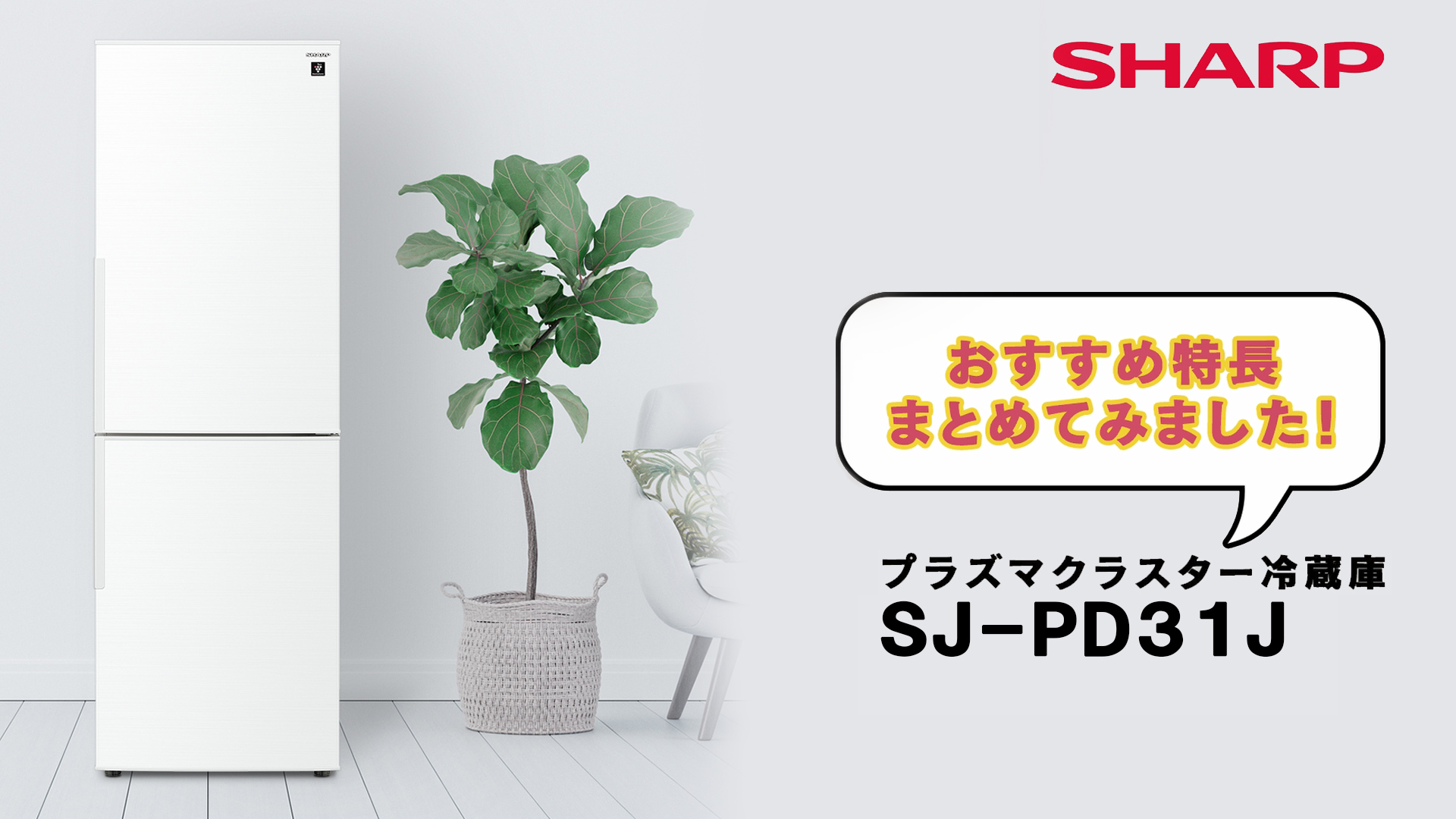 Amazon | シャープ SHARP 冷蔵庫 SJ-PD31J-T プラズマクラスター(幅