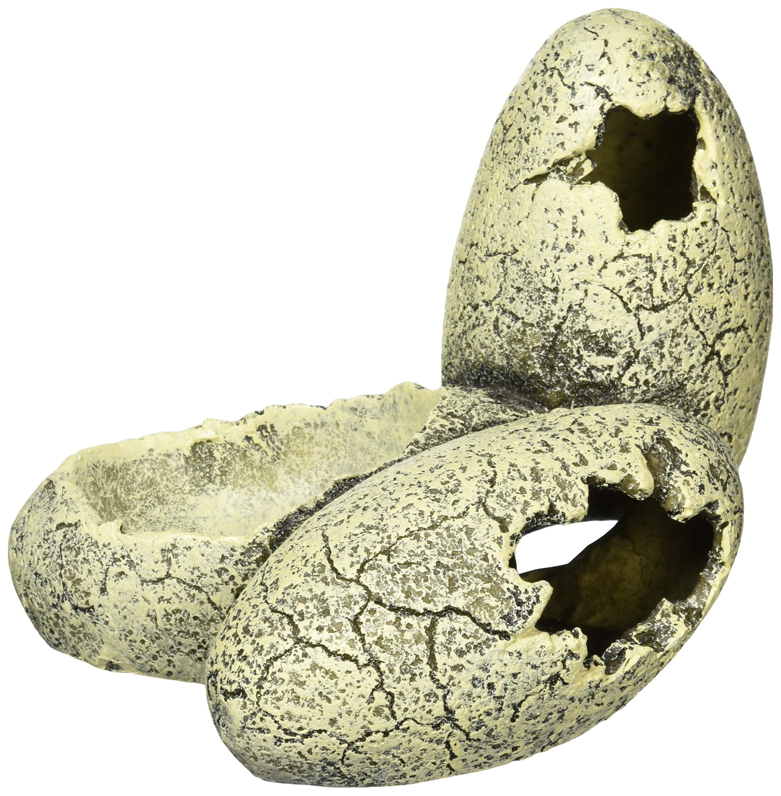 Amazon | ジェックス EXO TERRA (エキゾテラ) 恐竜の卵S PT2840 爬虫類