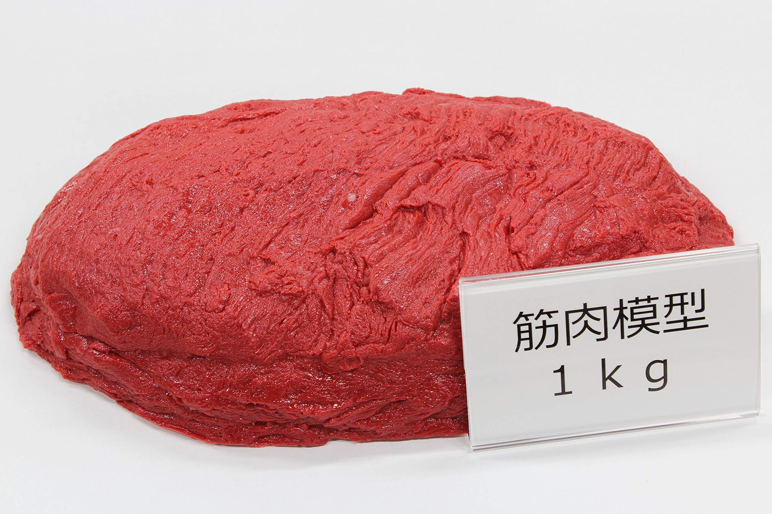 Amazon.co.jp: 筋肉サンプル 筋肉模型 食品サンプル 実物重量