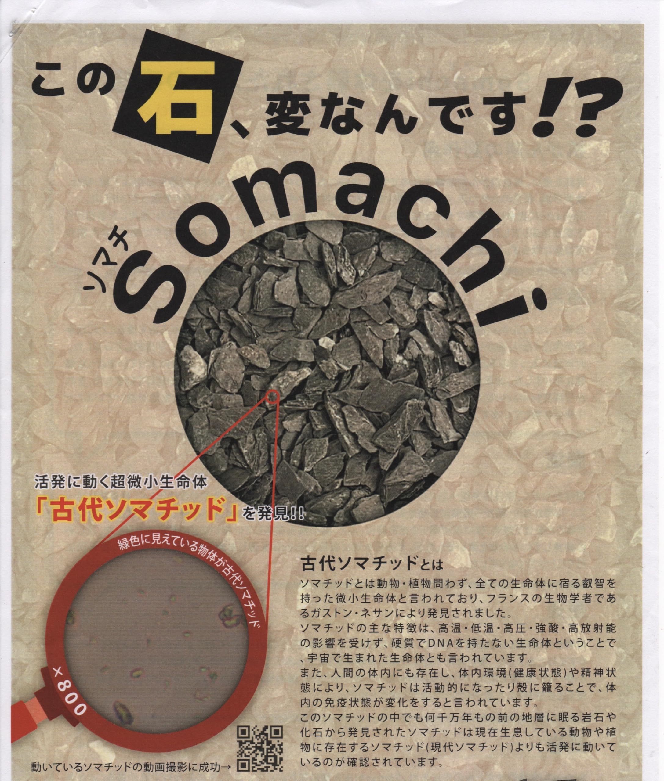 Amazon | 古代ソマチッド 粉タイプ100g ソマチッド SOMACHI ソマチ