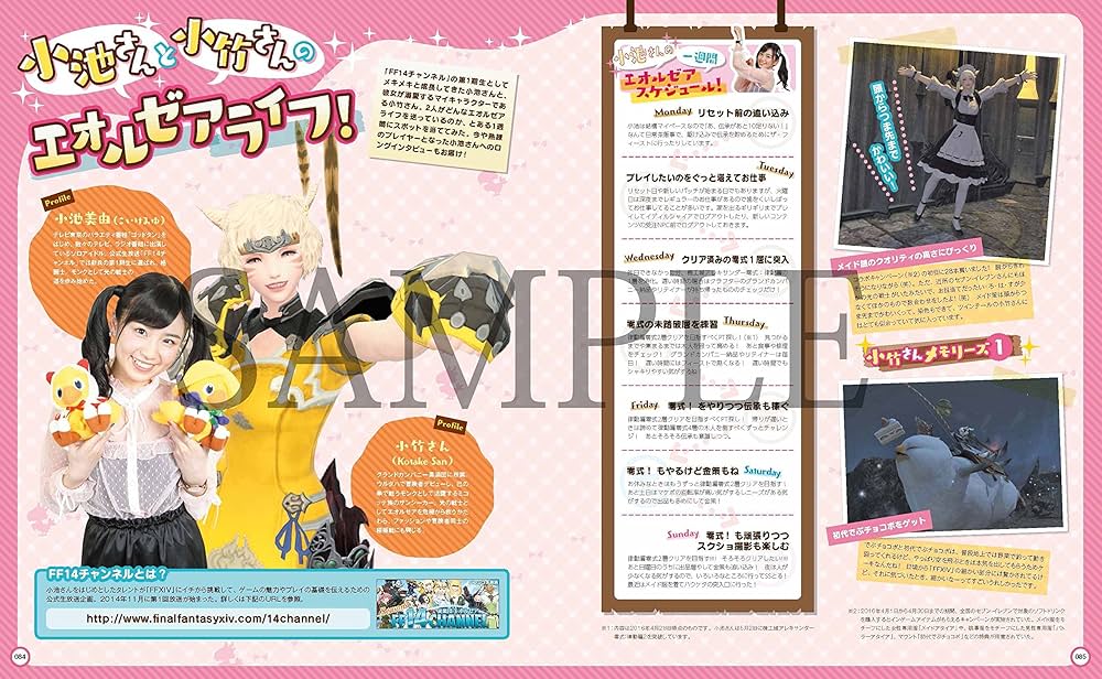 ファイナルファンタジーXIVマガジン 2016年夏号 (SE-MOOK