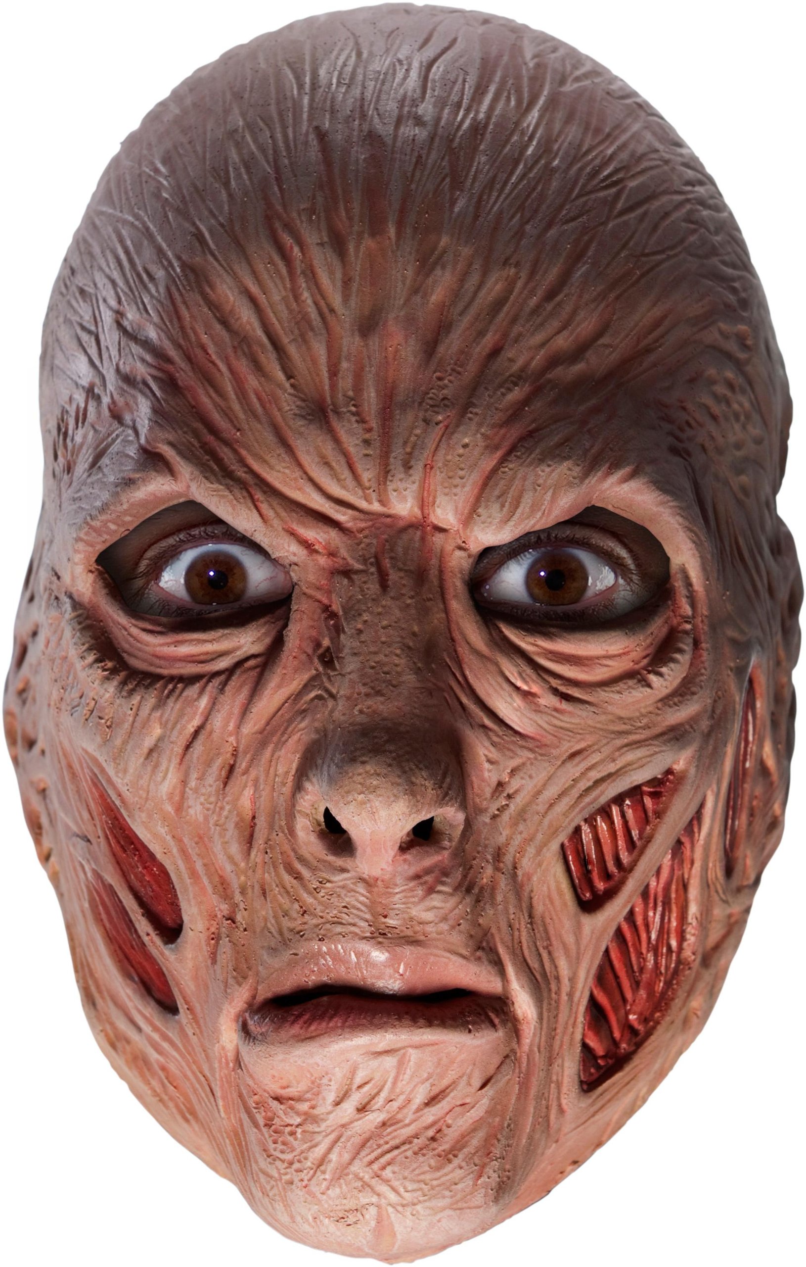 Amazon.co.jp: A Nightmare On Elm Street - Freddy 3/4 Vinyl Adult