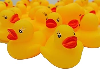 91NCa4axldL._AC_UF350,