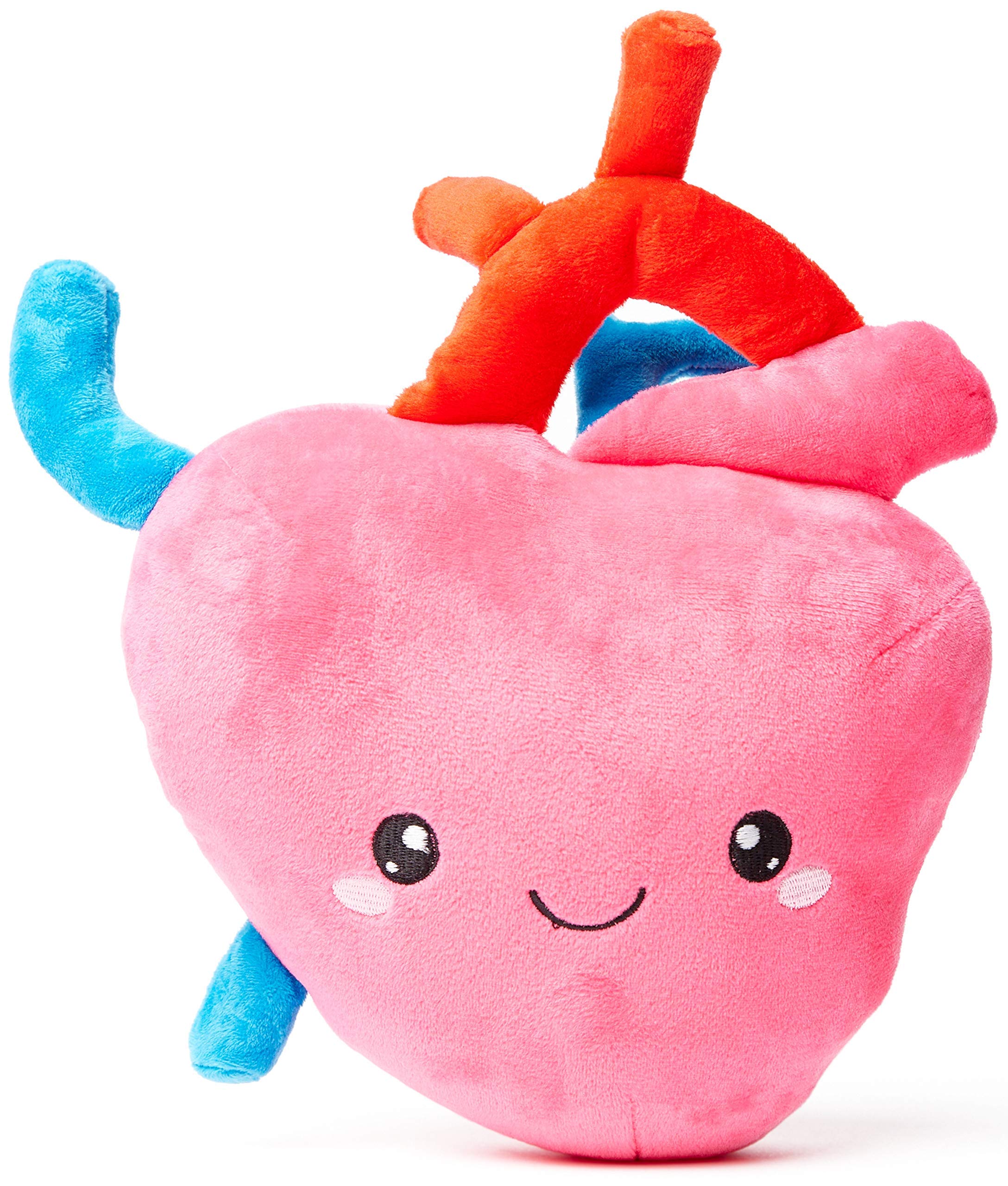 Amazon.com: nerdbugs Heart Plush - I Aorta to Tell You How Much I
