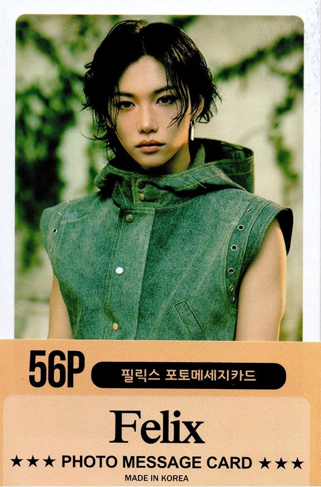 Amazon.co.jp: スキズ K-POP グッズ フォトメッセージカード 56枚