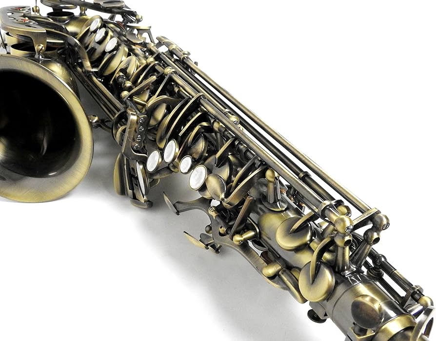 Amazon | Kaerntner ケルントナー アルトサックス KAL-68AQ