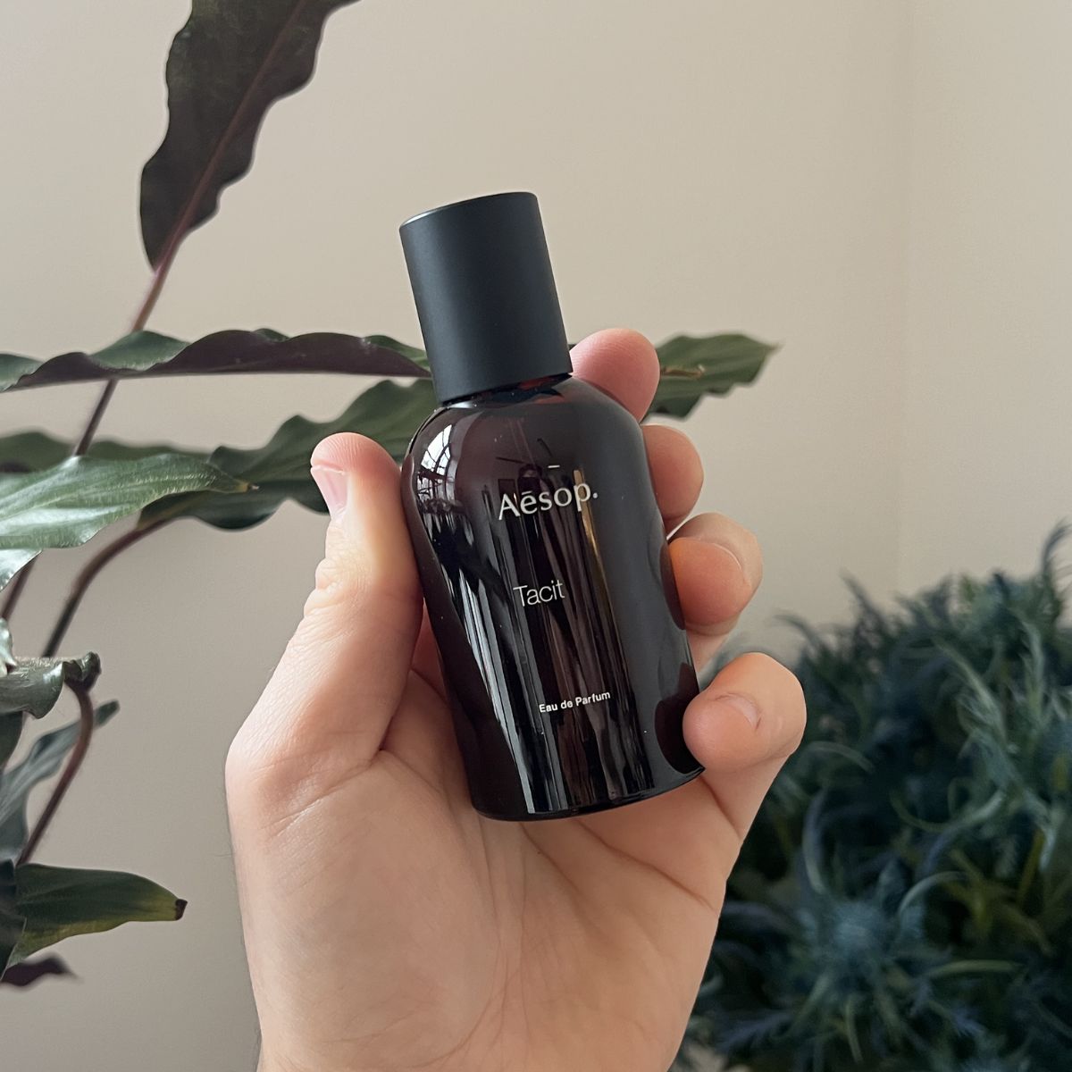 Aesop Tacit Review | Man For Himself