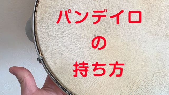 図解】定番パンデイロケースの詳細と気になるパンデイロケースまとめ