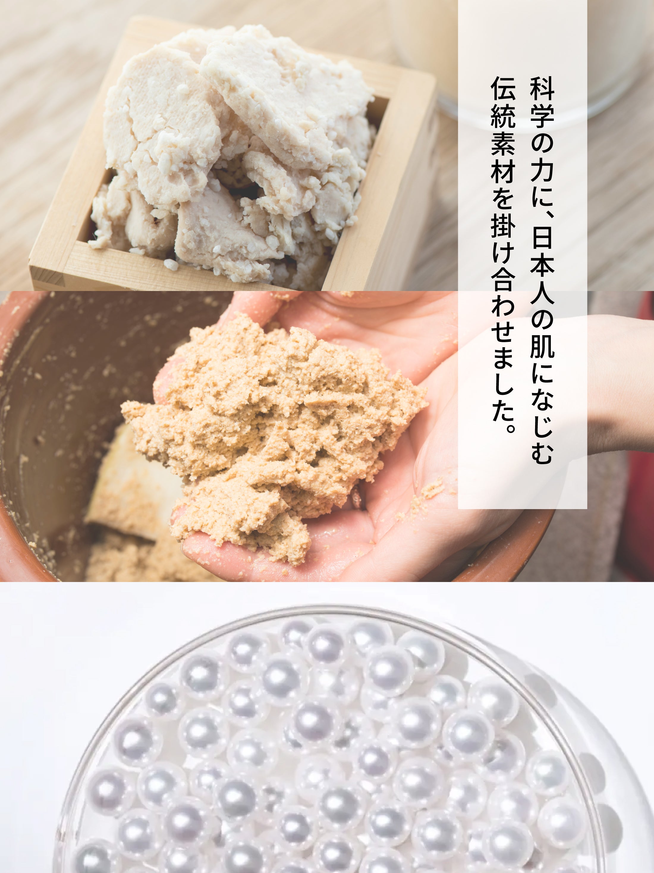 TERRA(テラ) 次世代腸活美肌サプリメント – madama・hada