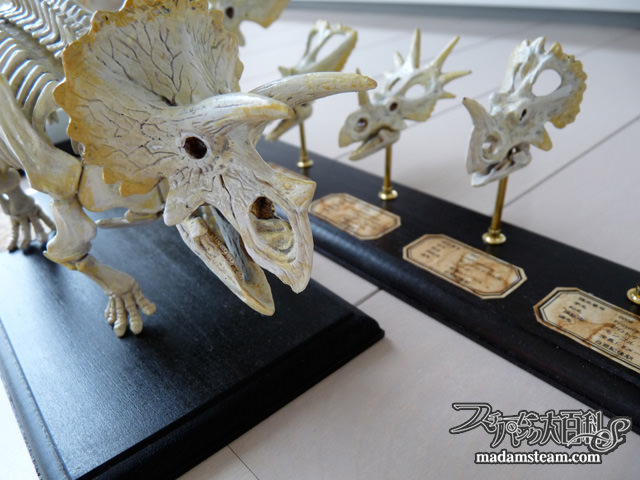 私の恐竜骨格標本コレクション・巨匠荒木一成氏のリアルプラモデル