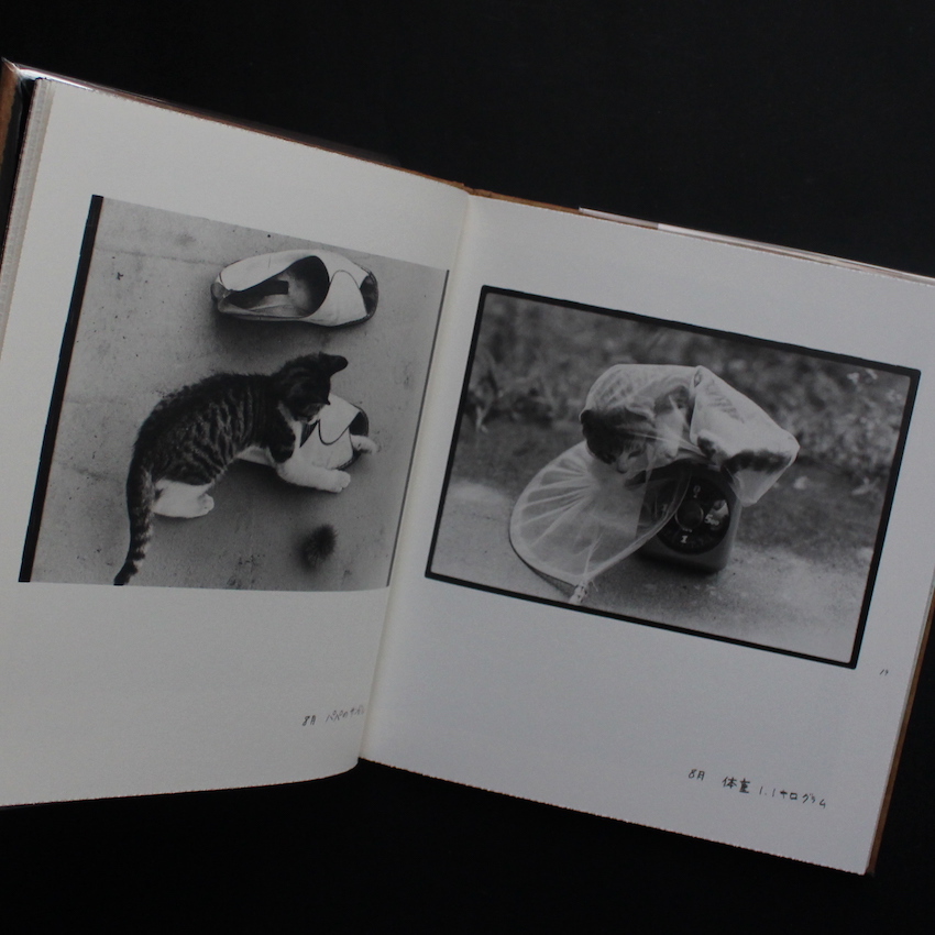 Afterword（Second Edition） - 深瀬 昌久 / Masahisa Fukase