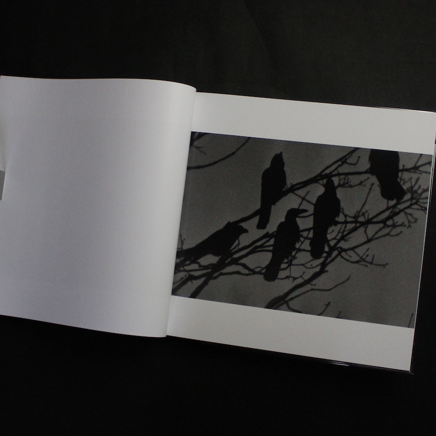 鴉 / Ravens（Revise Edition） - 深瀬 昌久 / Masahisa Fukase