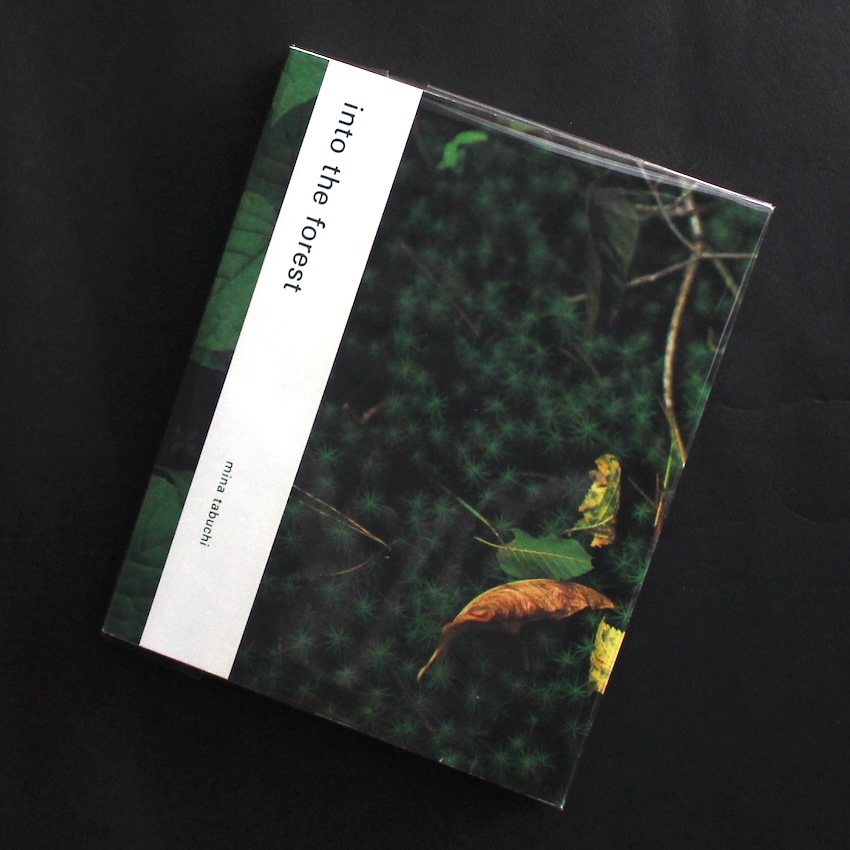 The Mad Broom of Life - 高橋 恭司 / Kyoji Takahashi