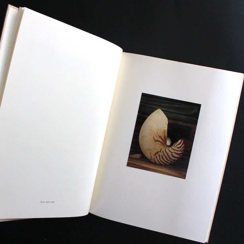 Into the Silent Land - 上田 義彦 / Yoshihiko Ueda