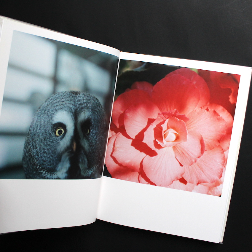 アイーラ / Aila（First Edition, With OBI） - 川内 倫子 / Rinko