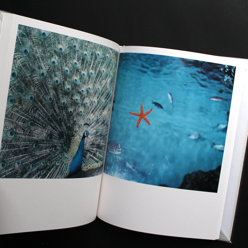 アイーラ / Aila（First Edition, With OBI） - 川内 倫子 / Rinko