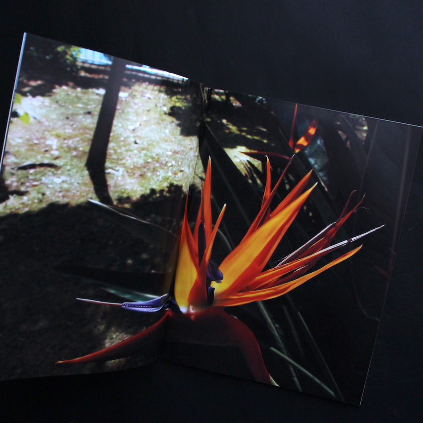 記録 第20号 / Record No.20（Signed） - 森山 大道 / Daido Moriyama