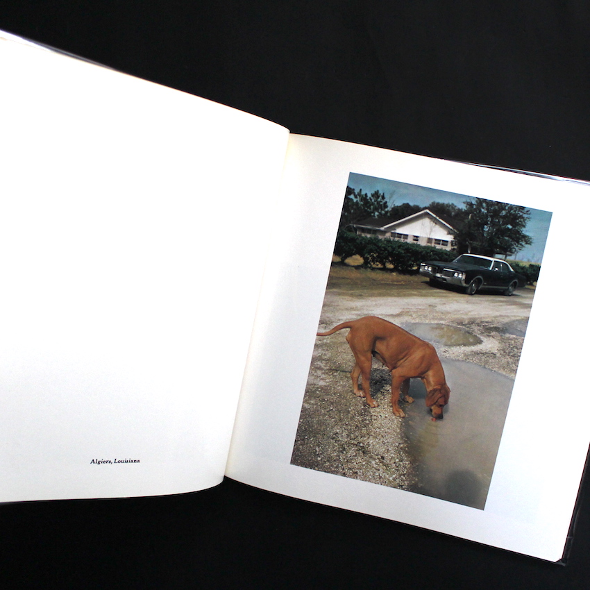 William Eggleston's Guide（First Edition） - William Eggleston