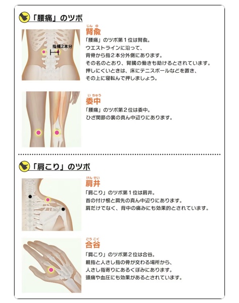 NHK番組トリセツに東洋医学（ツボ）について説明がありました。 - 難病