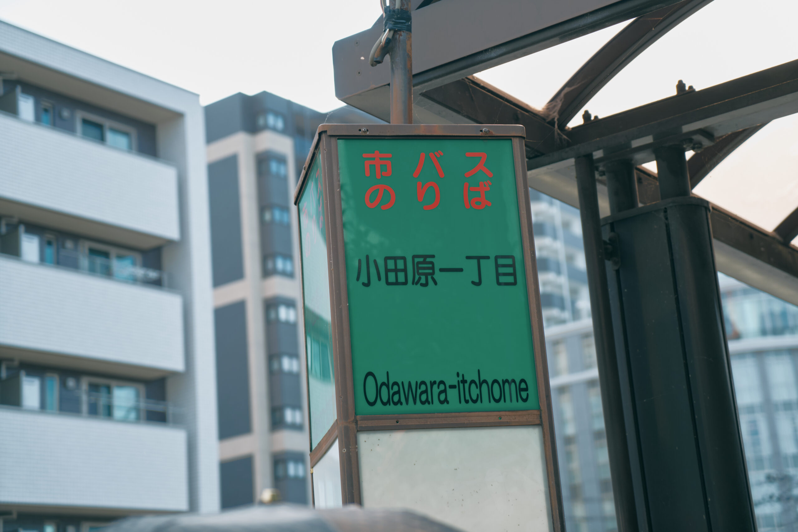 その51 佐藤 厚志（小説家） | まちを語る | まちりょく - せんだいと