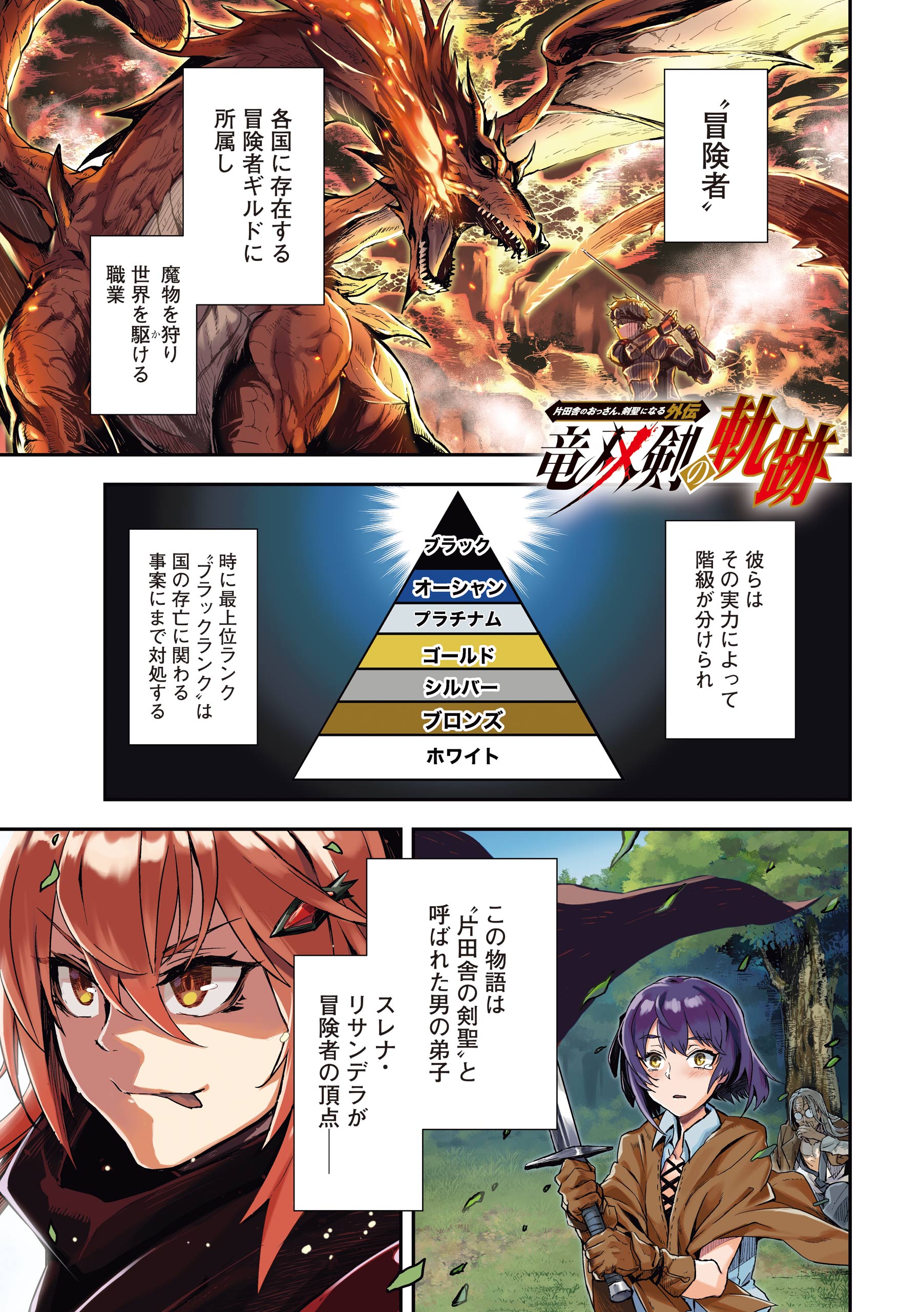 片田舎のおっさん、剣聖になる 外伝 竜双剣の軌跡 - ヤングガンガン