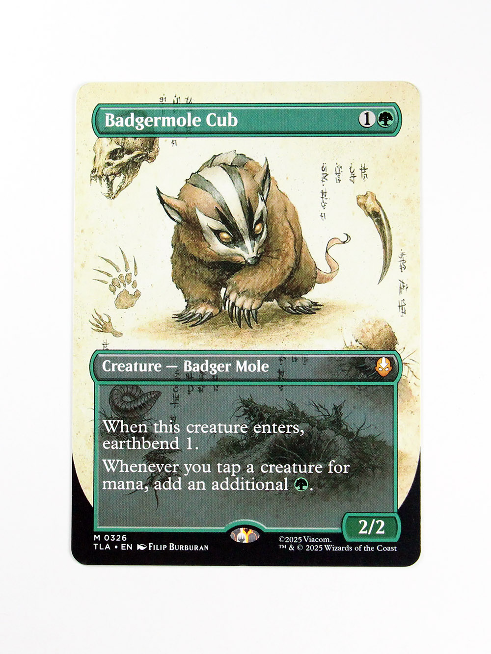 Badgermole Cub #326 Holo from Avatar: The Last Airbender (TLA) MTG