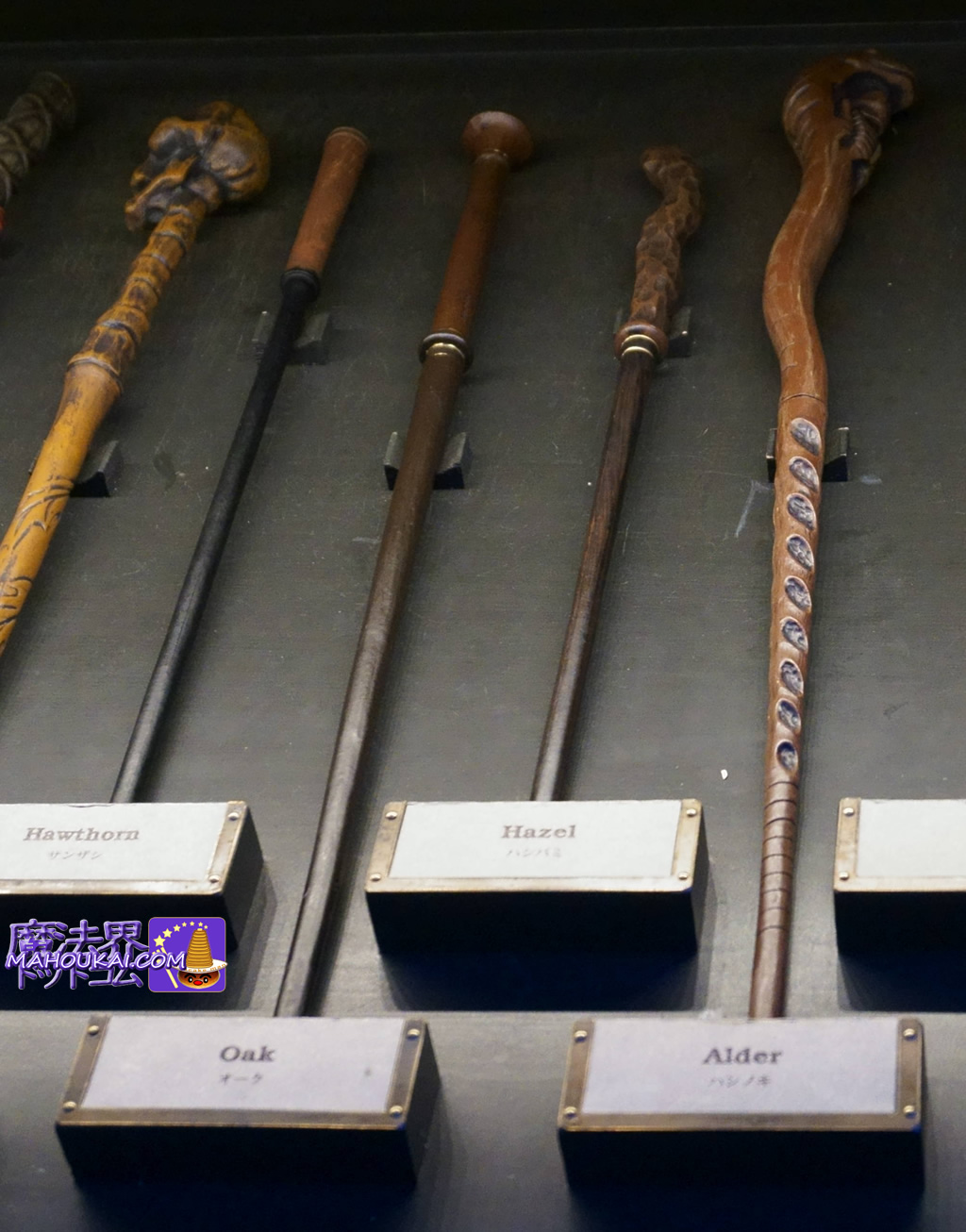 2－1．オリバンダー杖店 マジカル・ワンド（魔法の杖） ハリー