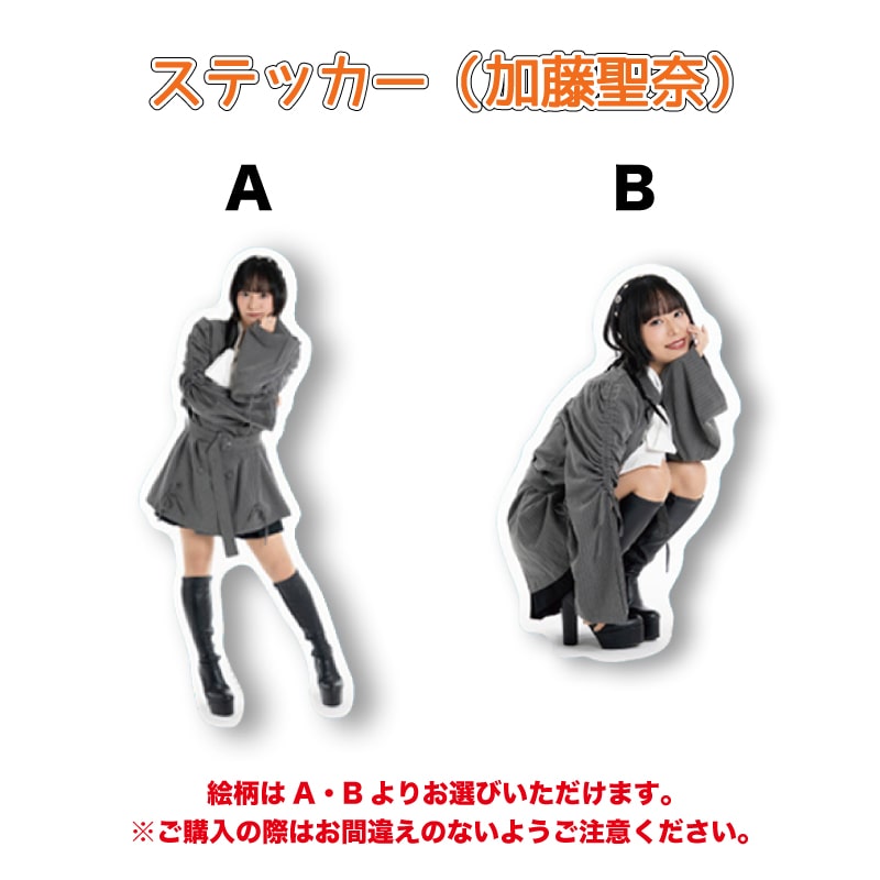 NEW ARRIVAL｜MAILIVIS(メイリビス)(並び順：新着順 2／4ページ)