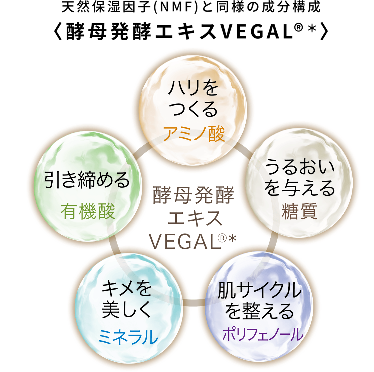 ALCHEMY - MAISON LEXIA メゾンレクシア 公式サイト ～ 化粧品 香水