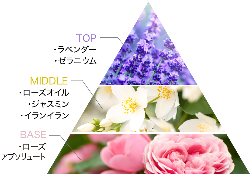 ナイトクリーム］クリーム ルネサンス - MAISON LEXIA メゾンレクシア