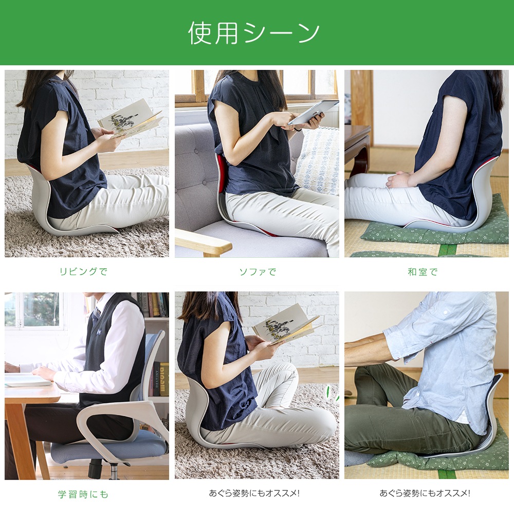 Style PREMIUM 骨盤・姿勢矯正クッション