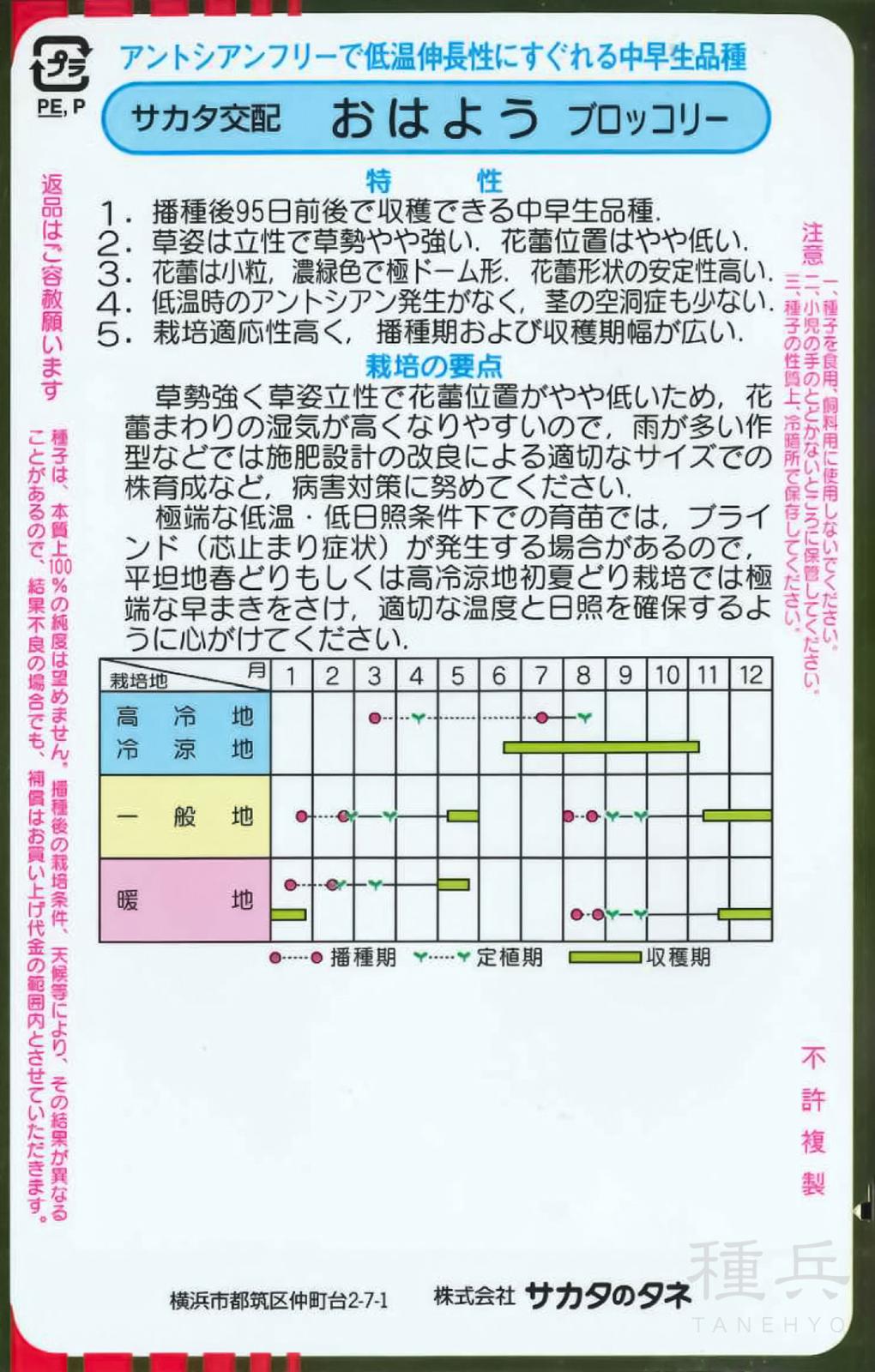 ブロッコリー 種 『おはよう』 サカタのタネ | たね,葉菜の種