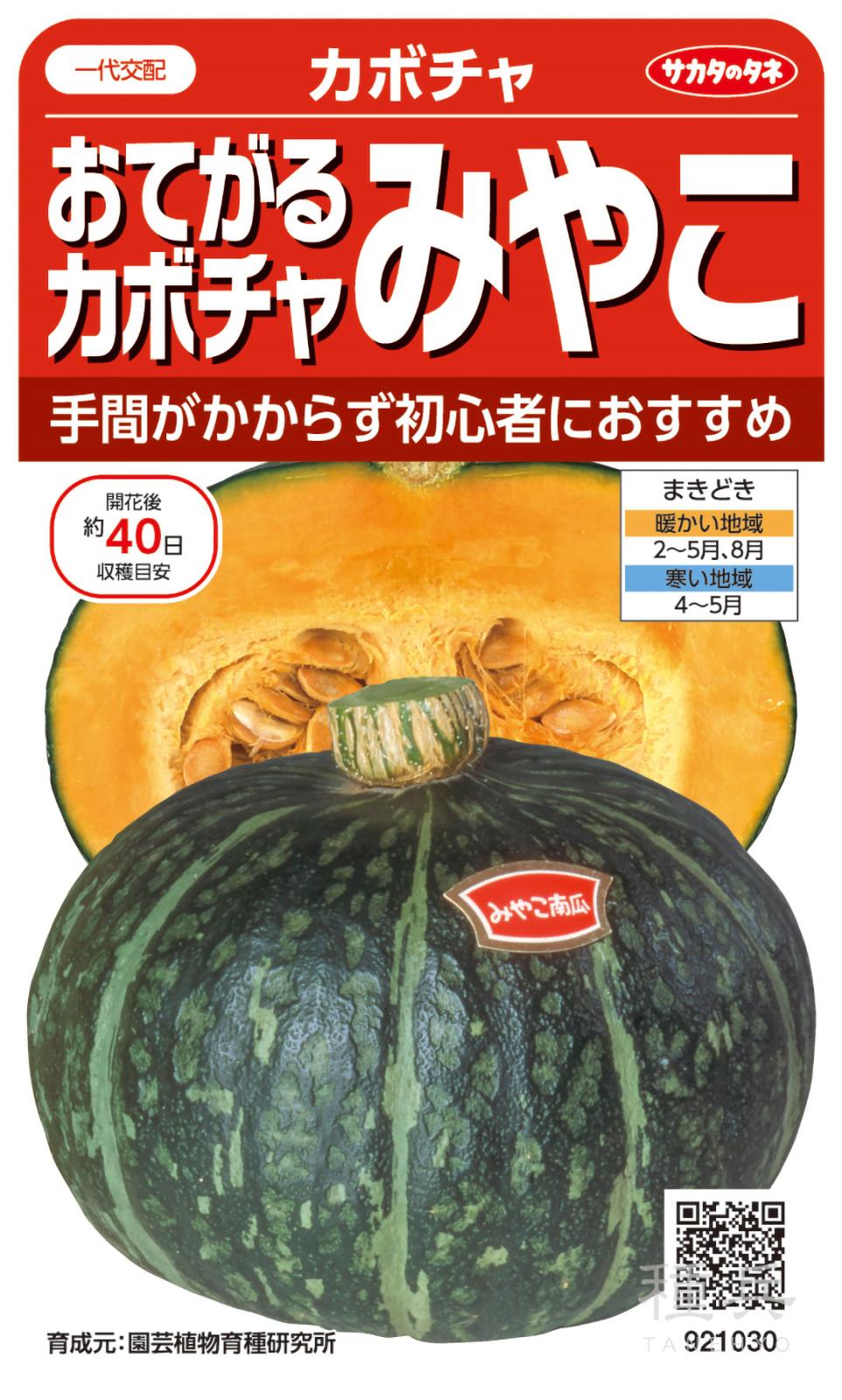 カボチャ 種 『みやこ』 サカタのタネ | たね,果菜の種,カボチャ,栗
