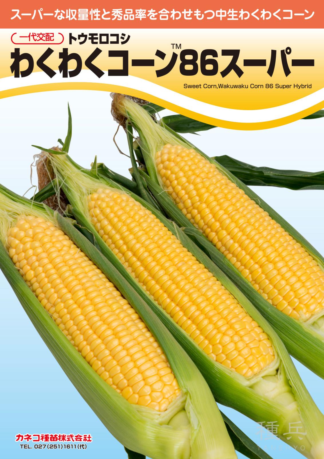 スイートコーン 種 『わくわくコーン86スーパー』 カネコ種苗 | たね