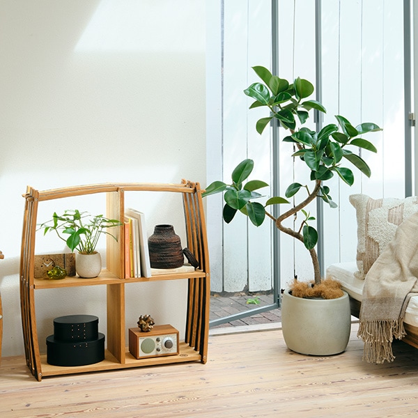 バレル ウイスキーチェア チェア サントリー樽ものがたり