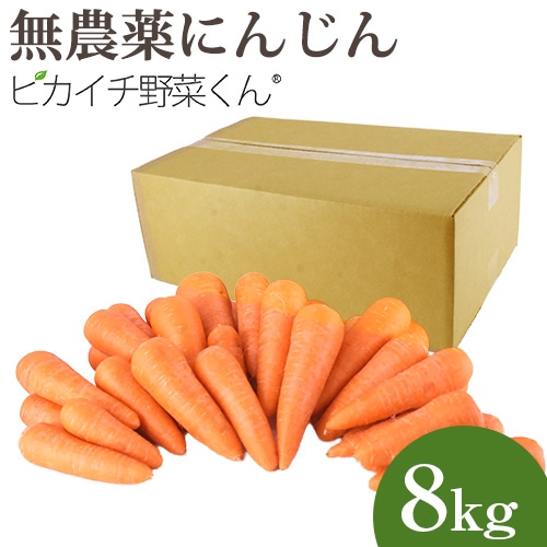 人参ジュース用の訳あり無農薬人参 8kg（規格外品） 【ピカイチ野菜くん】
