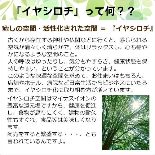 すこやか ポット(大)｜トータルヘルスデザイン公式ショップWEB本店