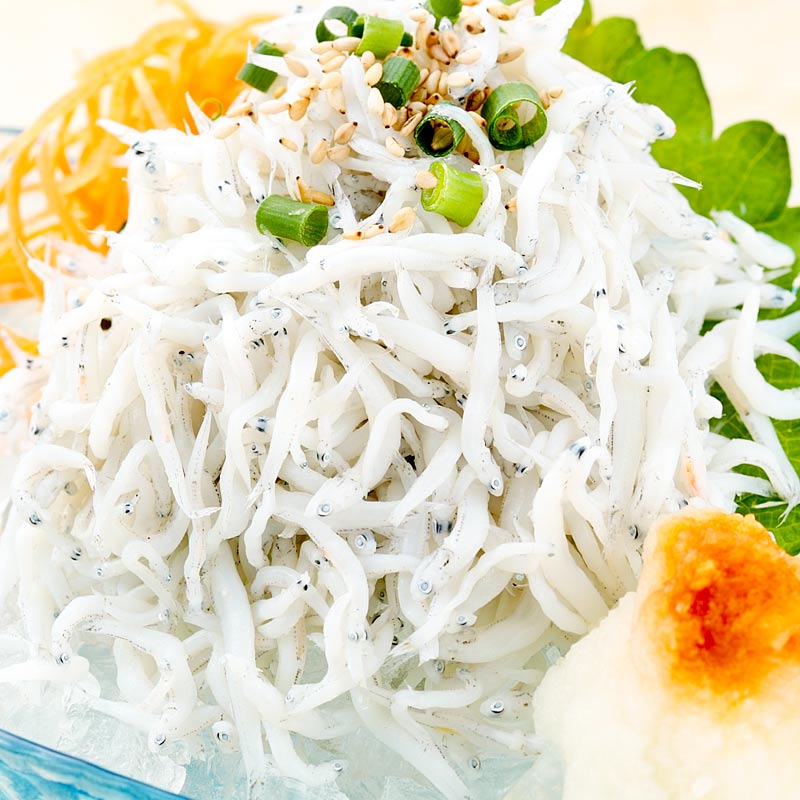 冷凍】釜揚げしらす小パック | しらす問屋とびっちょ｜オンラインショップ