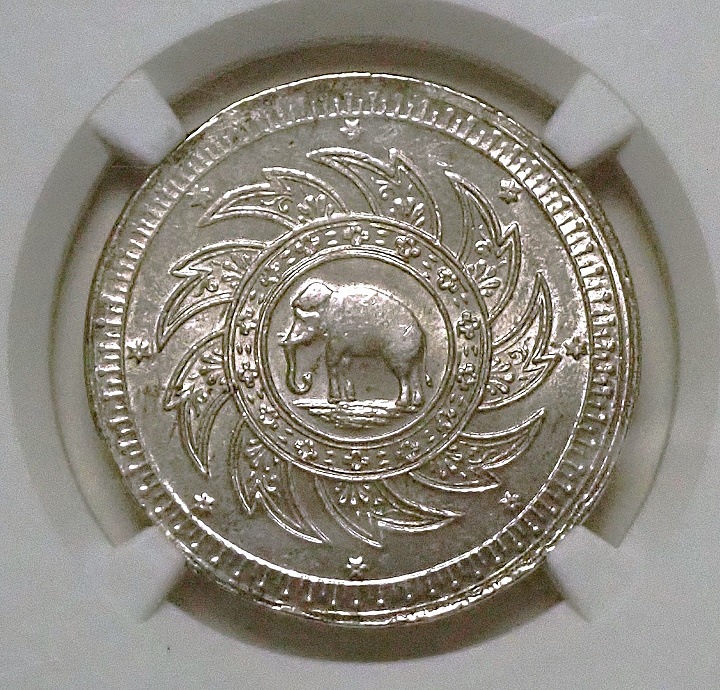 1_000000000805.jpg?1686786677