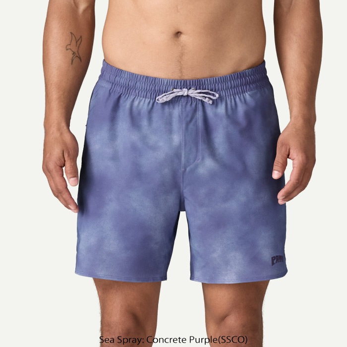 patagonia パタゴニア メンズ・ハイドロピーク・バレー・ショーツ 16