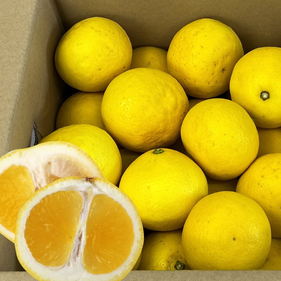 伊豆・村の駅 l 【公式】 うまちょく便 | 静岡・山梨名物・特産品を