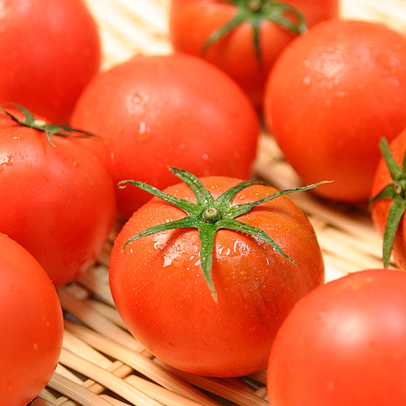 おかざき農園 Lisaフルーツトマト1㎏箱｜土佐うまいもの100選｜高知の