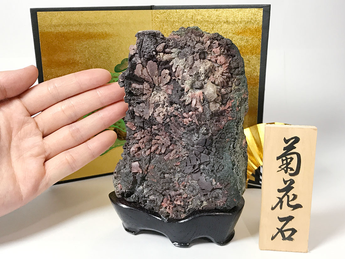 菊花石 【サバ菊】(木製台座付き)