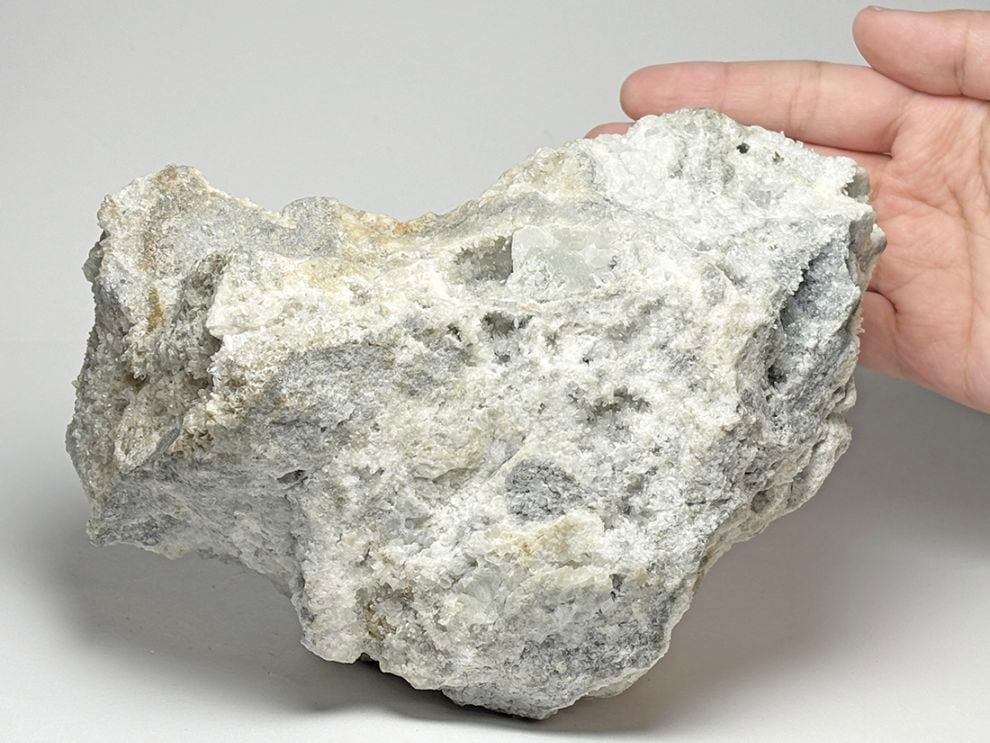 フローライト共生