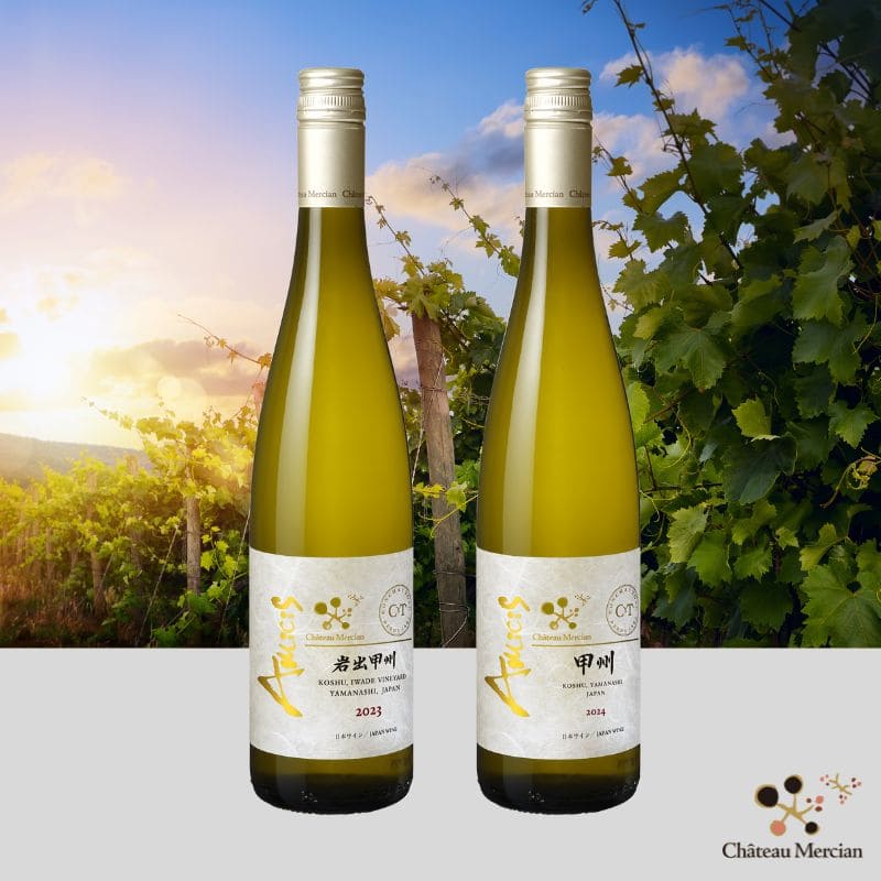 甲州アミシス 2023・2024ヴィンテージ比較セット ※送料当社負担（沖縄
