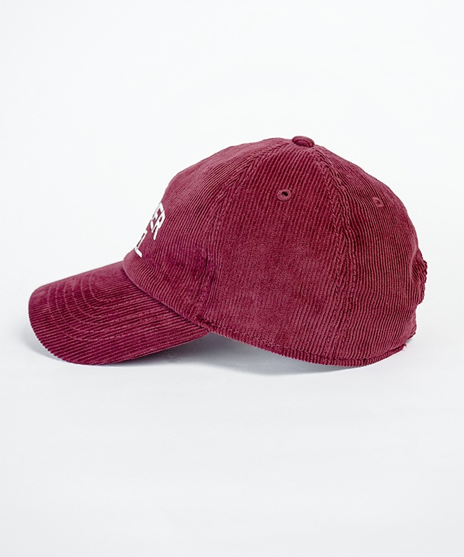 25AMSIT05]THE SHINZONE(ザ シンゾーン) WANDERVOGEL CAP ワンダー