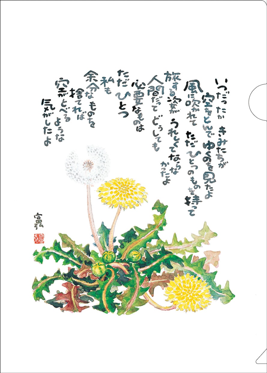 星野富弘クリアファイル タンポポ KM25CF7 （500211）（いのちのことば