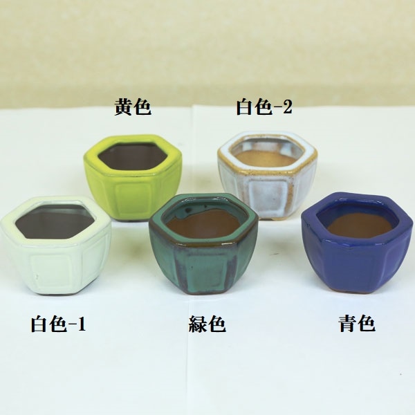 鉢：中国産豆鉢 6.7cm *資材 | 盆栽鉢・水盤,お買い得小鉢,色物,鉢径