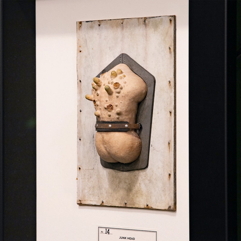 JUNK HEAD』 「クノコ原体」No.14 | JUNK HEAD,JUNK HEAD 一点もの